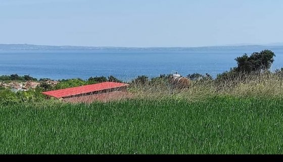 SAROS KÖRFEZİ GÖKCETEPE SAHİLİ SATILIK TARLA